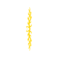 Graphic Other