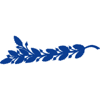 Graphic Other