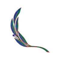 Graphic Other
