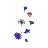 Graphic Other