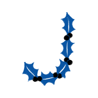 Graphic Other