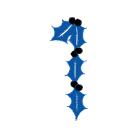 Graphic Other