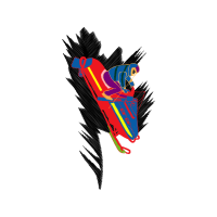 Graphic Other