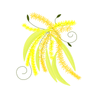Graphic Other