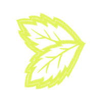Graphic Other
