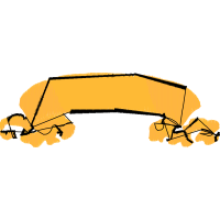 Graphic Other