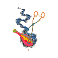 Graphic Other