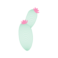Graphic Other