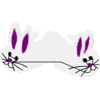 Graphic Other
