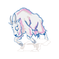 Graphic Other