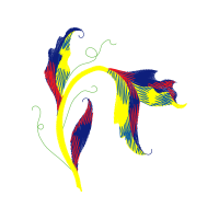 Graphic Other