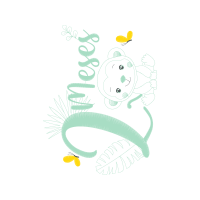 Graphic Other