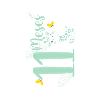Graphic Other
