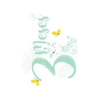 Graphic Other