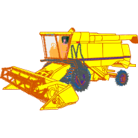 Graphic Other