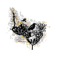 Graphic Other