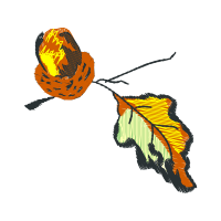 Graphic Other