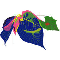 Graphic Other