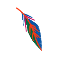 Graphic Other