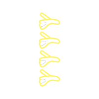 Graphic Other