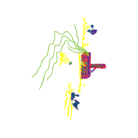 Graphic Other