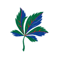 Graphic Other