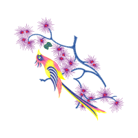 Graphic Other