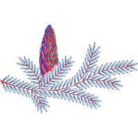 Graphic Other