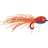Graphic Other