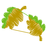 Graphic Other