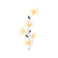 Graphic Other