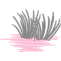 Graphic Other