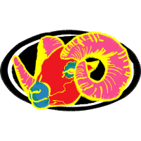 Graphic Other