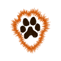 Graphic Other