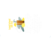 Graphic Other