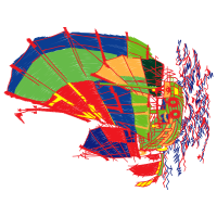 Graphic Other