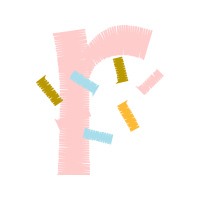 Graphic Other
