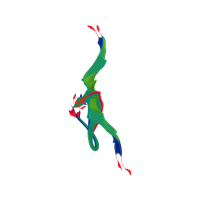 Graphic Other