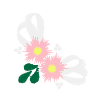 Graphic Other