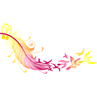 Graphic Other