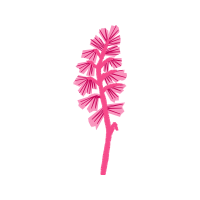 Graphic Other