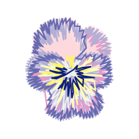 Graphic Other