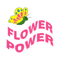 Graphic Other
