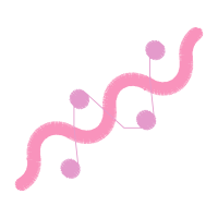 Graphic Other