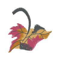 Graphic Other