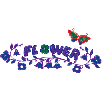 Graphic Other
