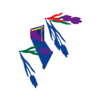 Graphic Other