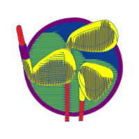 Graphic Other