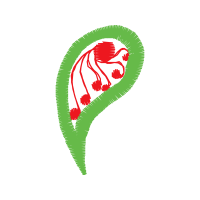 Graphic Other