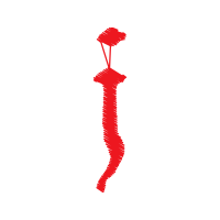 Graphic Other
